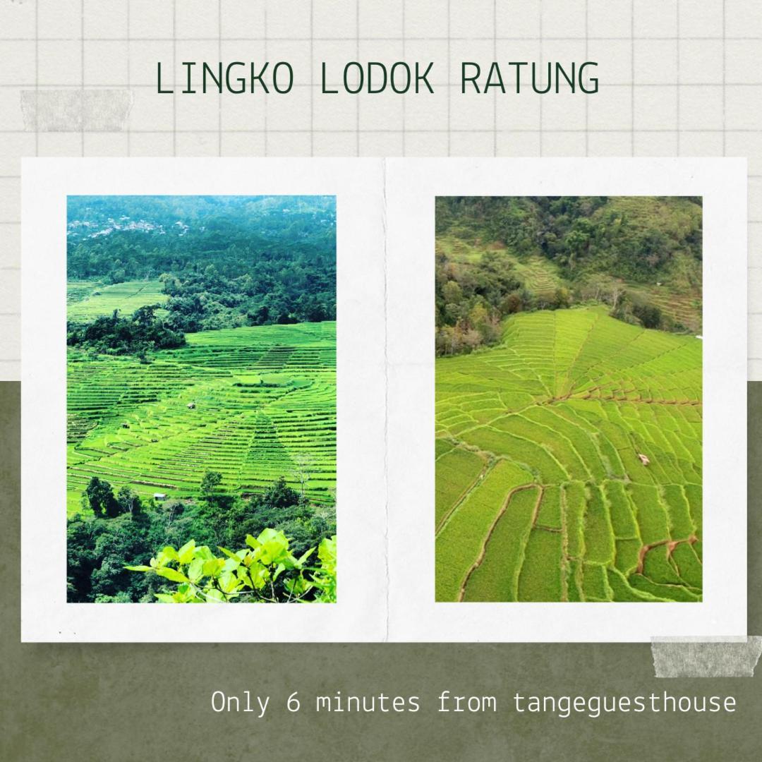 Tange Guest House Ruteng Exterior photo